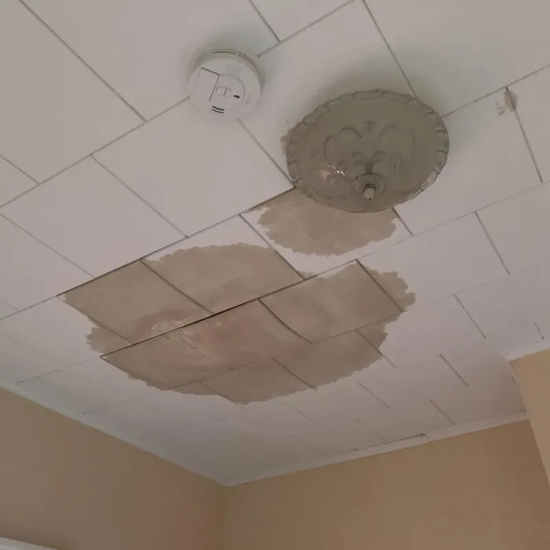 Ceiling Water Damage Repair in Norfolk, VA