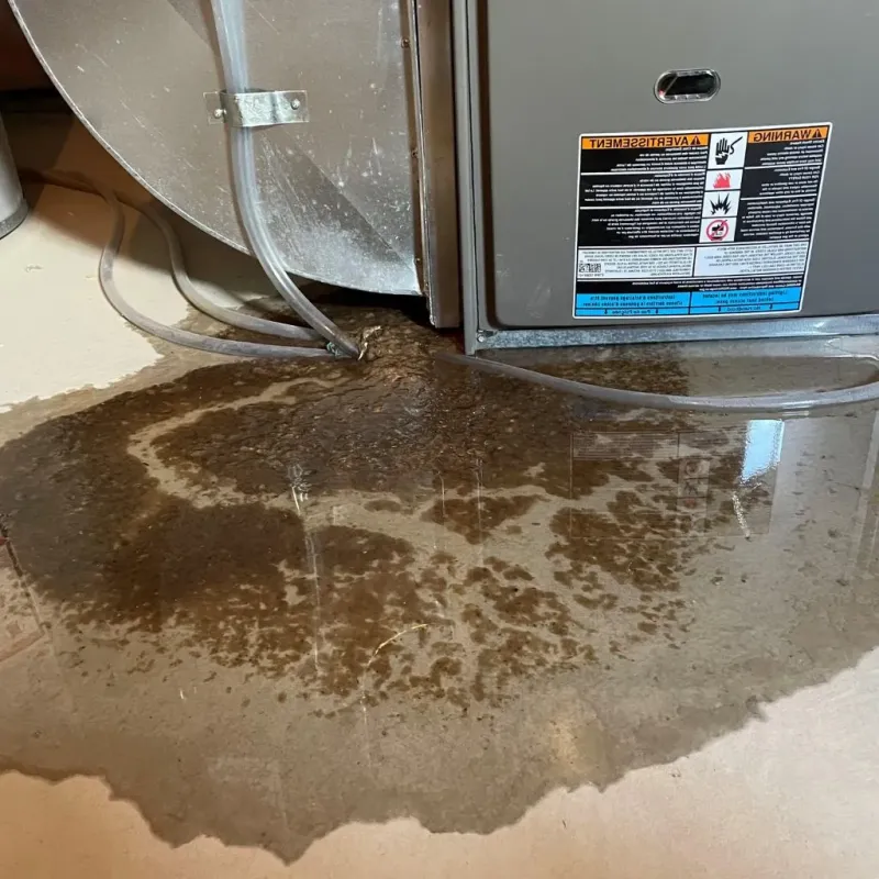 Pipe Burst and Leak Restoration in Norfolk, VA